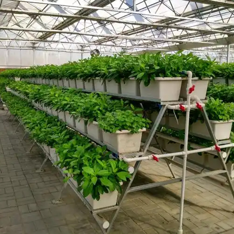 承德市植物工厂水培设备 - 推荐