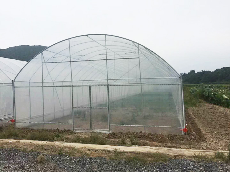 承德市薄膜大棚水培设备 - 推荐